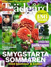 Allers Trädgård (SE) 4/2019