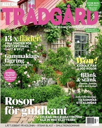 Allt om Trädgård (SE) 8/2025