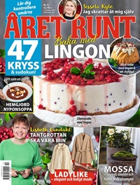 Året Runt (SE) 42/2024