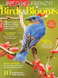 Birds & Blooms (US) (UK) 5/2021