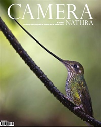 Camera Natura (SE) 4/2008