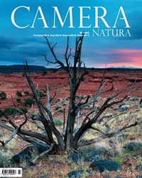 Camera Natura (SE) 3/2012