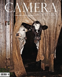 Camera Natura (SE) 4/2011
