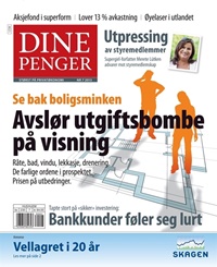 Dine Penger 6/2013