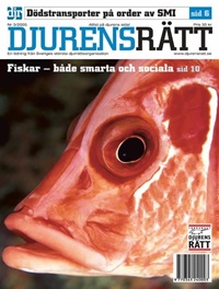Djurens Rätt (SE) 3/2005