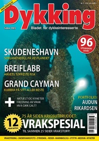 Dykking 2/2015