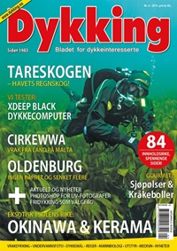 Dykking 4/2015