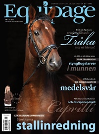 Equipage (SE) 1/2013