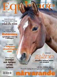 Equipage (SE) 1/2018