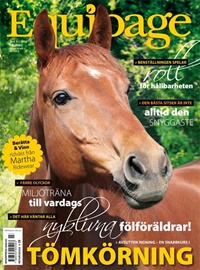 Equipage (SE) 3/2010