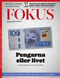 Fokus (SE) 11/2020