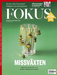 Fokus (SE) 17/2016