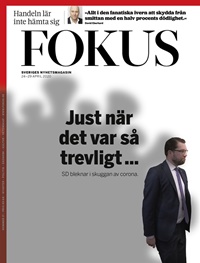 Fokus (SE) 17/2020