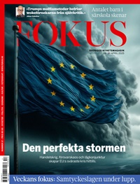 Fokus (SE) 17/2025