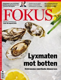 Fokus (SE) 26/2011