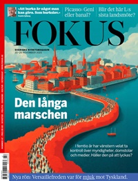 Fokus (SE) 2831/2025