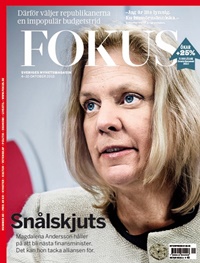 Fokus (SE) 39/2013