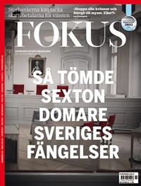 Fokus (SE) 42/2013