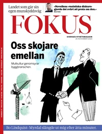 Fokus (SE) 47/2020