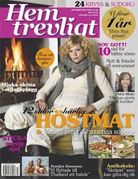Hemtrevligt (SE) 17/2008