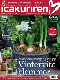 Icakuriren (SE) 48/2019