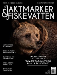 Jaktmarker & Fiskevatten (SE) 8/2024