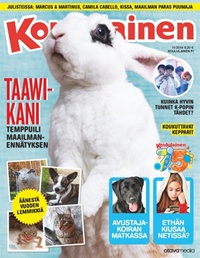 Koululainen (FI) 11/2019