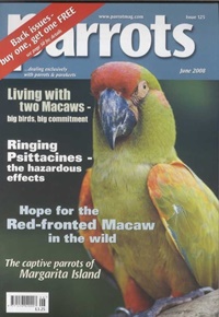 Parrots (UK) 6/2008