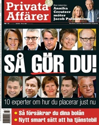 Privata Affärer (SE) 11/2008