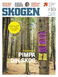 Skogen (SE) 10/2014