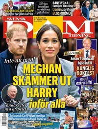 Svensk Damtidning (SE) 12/2025