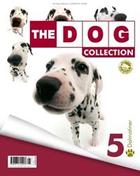 The Dog (SE) 5/2008