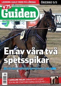 V85 Guiden (SE) 13/2018