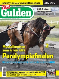 V85 Guiden (SE) 13/2020