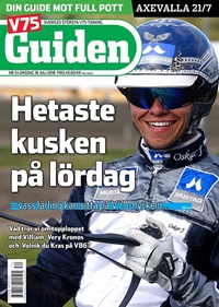 V85 Guiden (SE) 14/2018