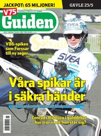 V85 Guiden (SE) 14/2020