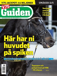 V85 Guiden (SE) 19/2024
