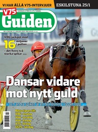 V85 Guiden (SE) 4/2020