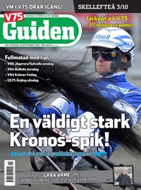 V85 Guiden (SE) 41/2020