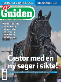 V85 Guiden (SE) 46/2024
