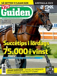 V85 Guiden (SE) 8/2020