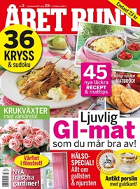Året Runt (SE) 3/2011