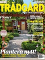 Allt om Trädgård 8/2024