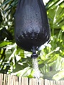 Shower Outdoor 5/2016